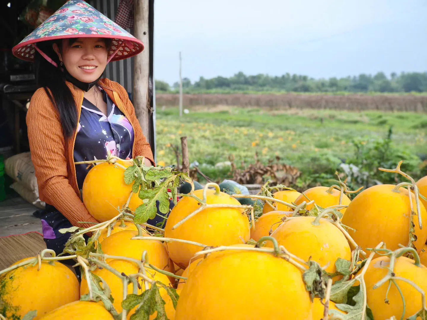 Bạc Liêu: "Xóm dưa” đón Tết