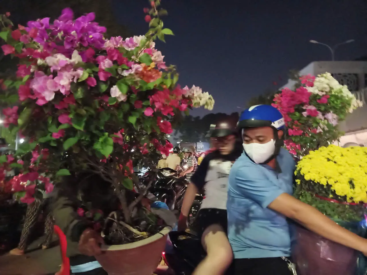 Tưng bừng đêm Hội hoa Xuân Ất Tỵ 2025, người mua người bán đều phấn khởi