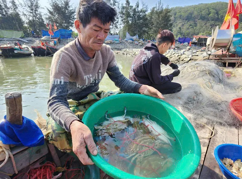 Hà Tĩnh: ngư dân nô nức vươn khơi đón lộc biển