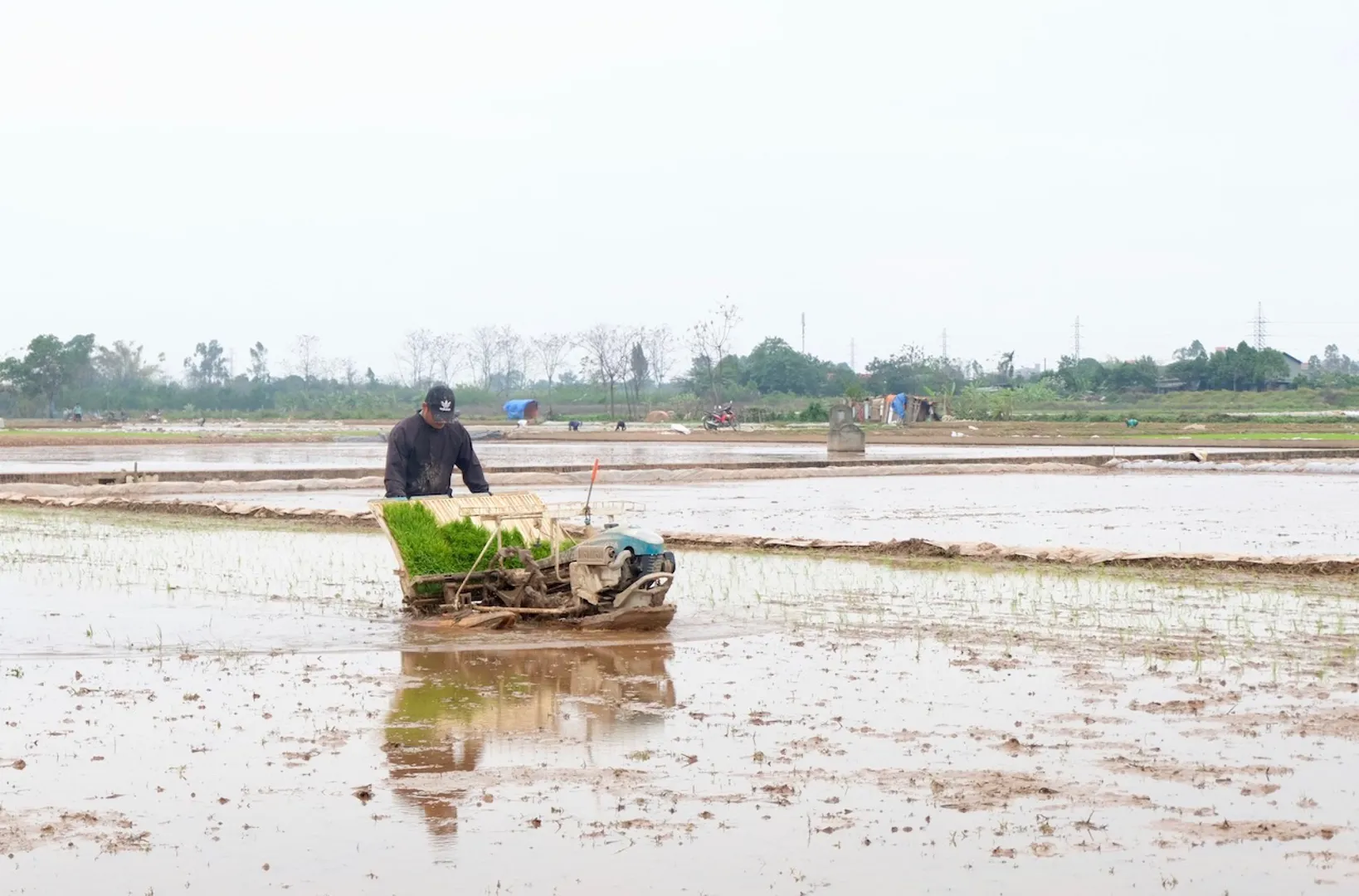 Hà Nội: nông dân tích cực xuống đồng gieo cấy lúa Xuân