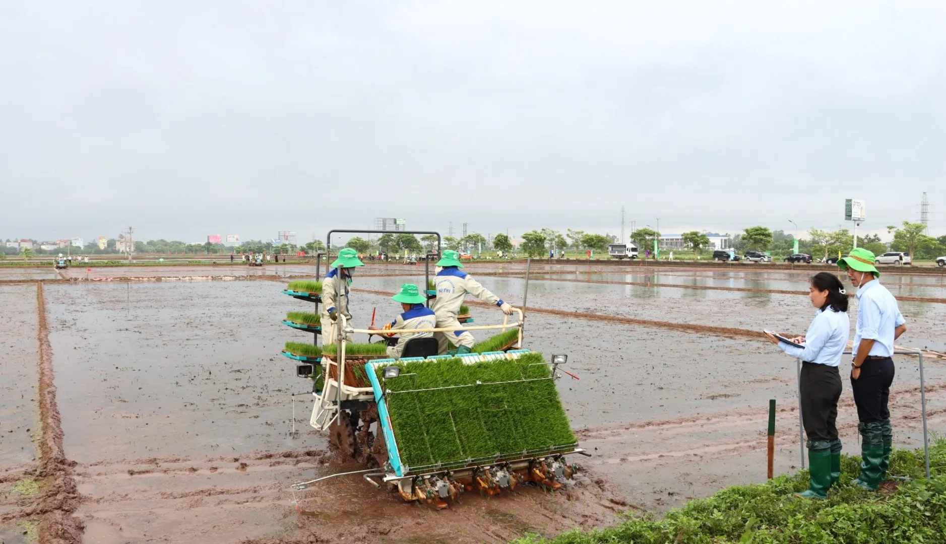 Hà Nội: sắp diễn ra hội thi sản xuất mạ khay, lái máy cấy giỏi