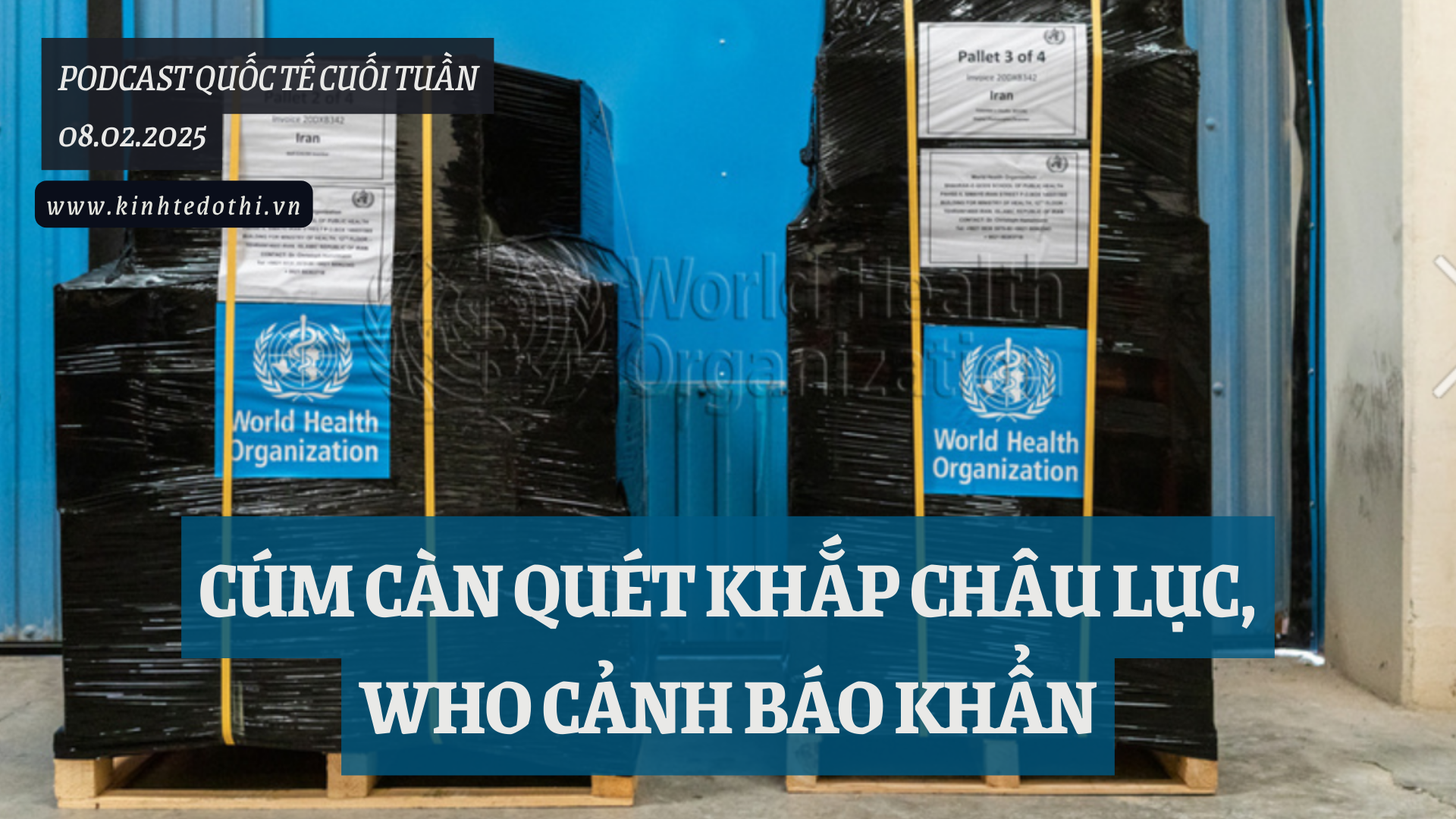 Podcast quốc tế: Cúm càn quét khắp châu lục, WHO cảnh báo khẩn