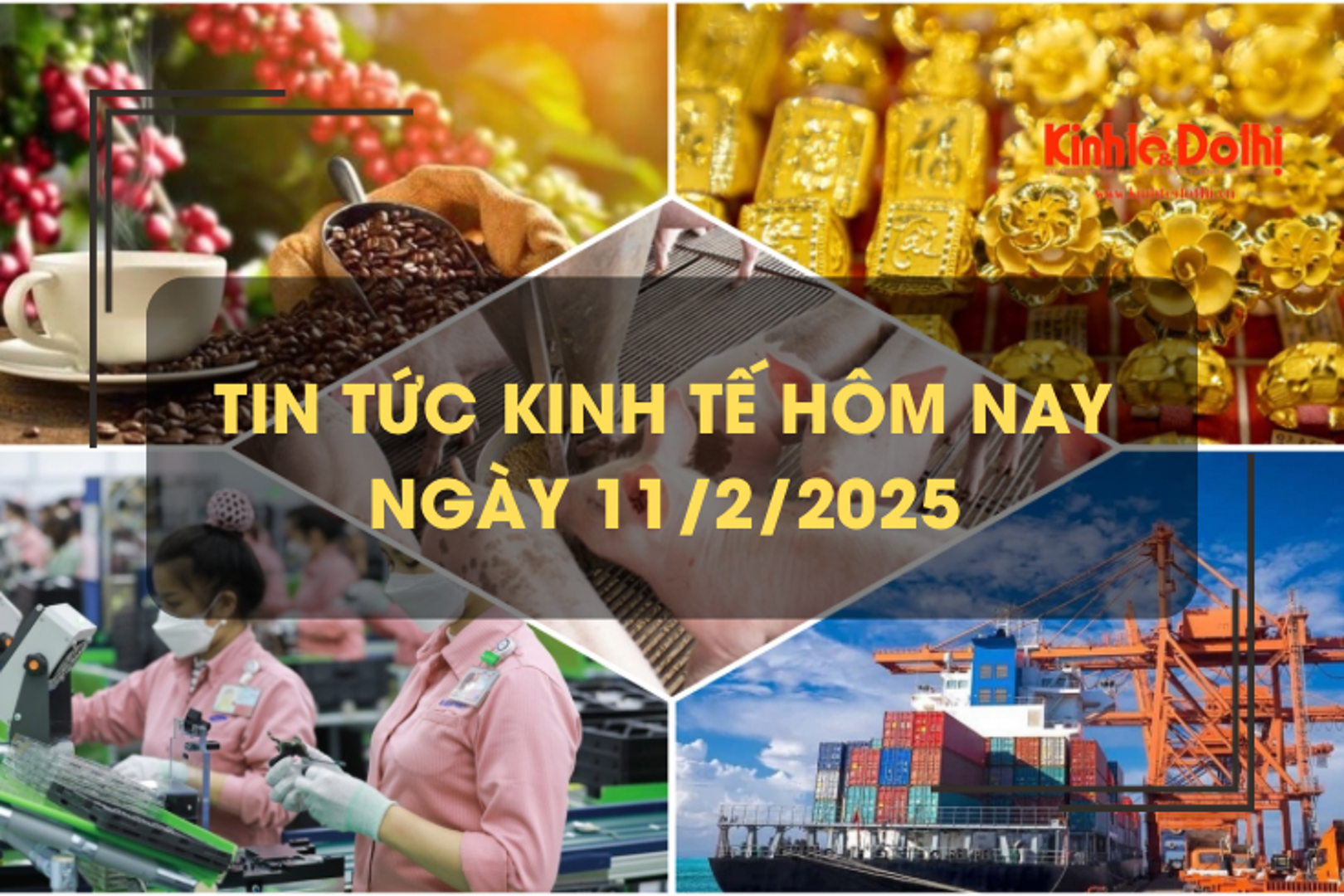 Tin tức kinh tế 11/2: giá cà phê chạm mức cao kỷ lục mới 