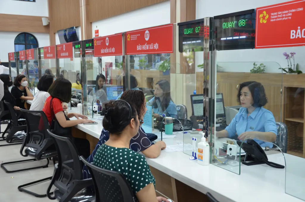 Quảng Ninh: hồ sơ đăng ký kinh doanh trong lĩnh vực giáo dục tăng đột biến