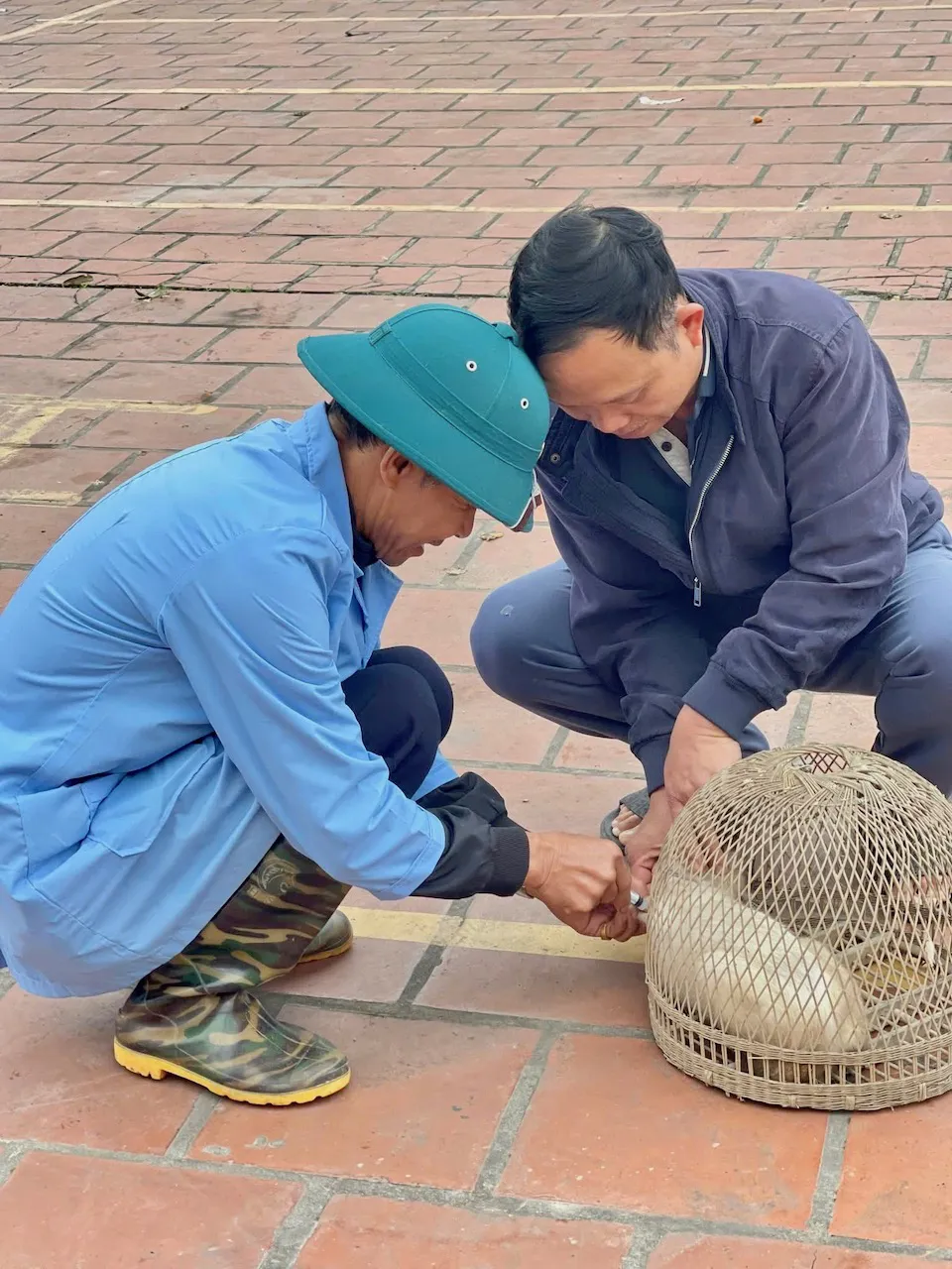 Huyện Sóc Sơn: ngăn chặn nguy cơ lây lan bệnh dại