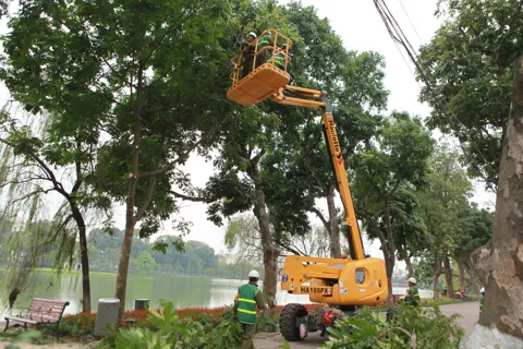 Chấn chỉnh tình trạng "ăn bớt" không gian xanh