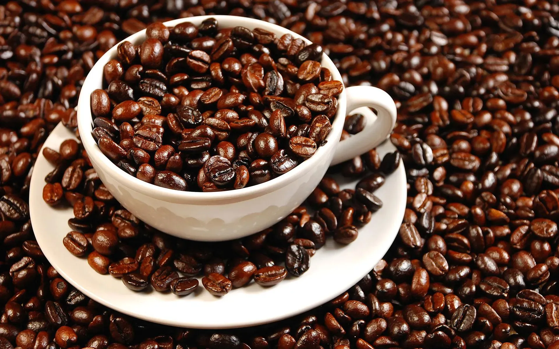 Giá cà phê hôm nay 11/3/2025: Robusta tăng trở lại, trong nước vượt 130.000 đồng/kg