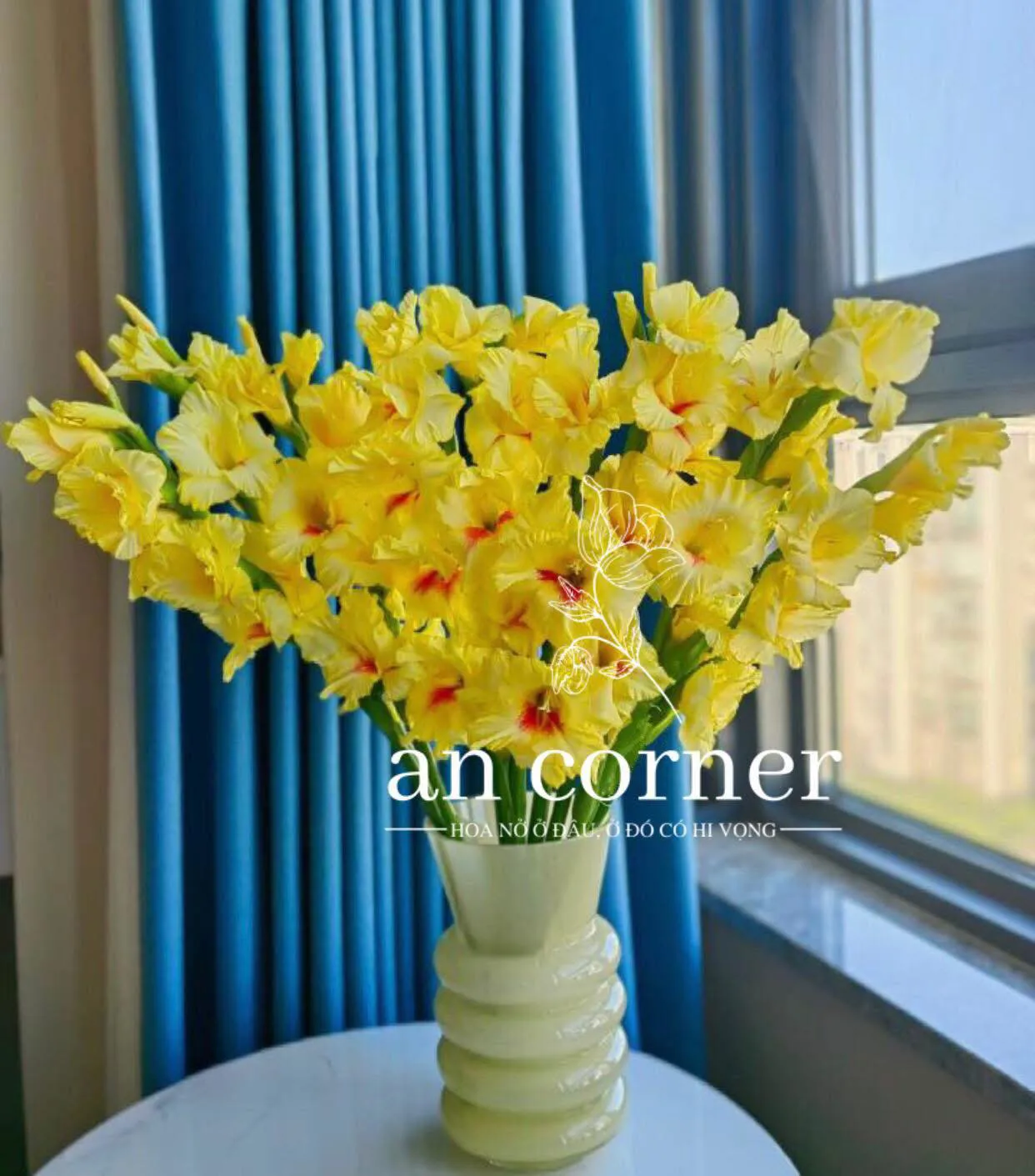 Tử vi ngày 14/3/2025 của 12 cung hoàng đạo: Song Tử thăng hoa về tài chính