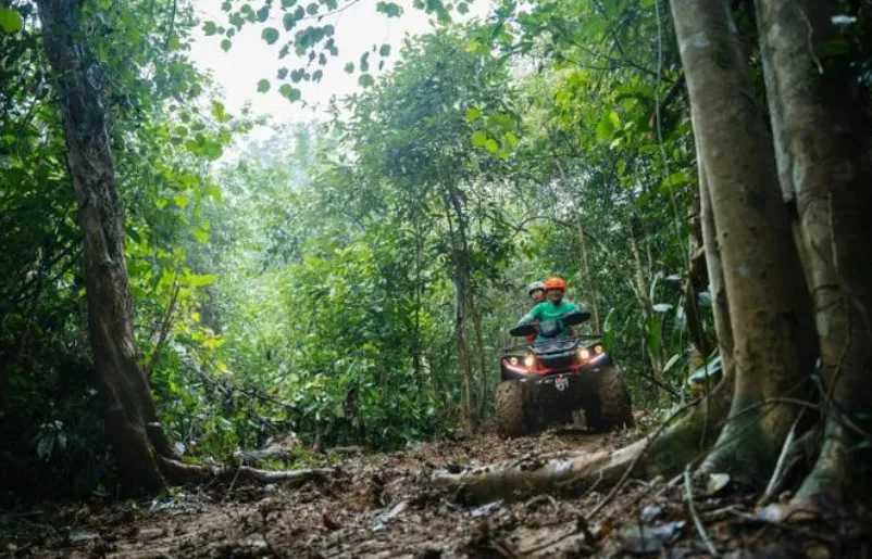 Trồng một tỷ cây xanh - ích nước, lợi nhà, đẹp quốc gia