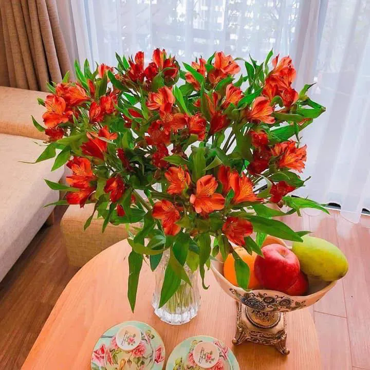 Tử vi ngày 16/3/2025 của 12 cung hoàng đạo: Tài lộc ghé thăm Song Ngư