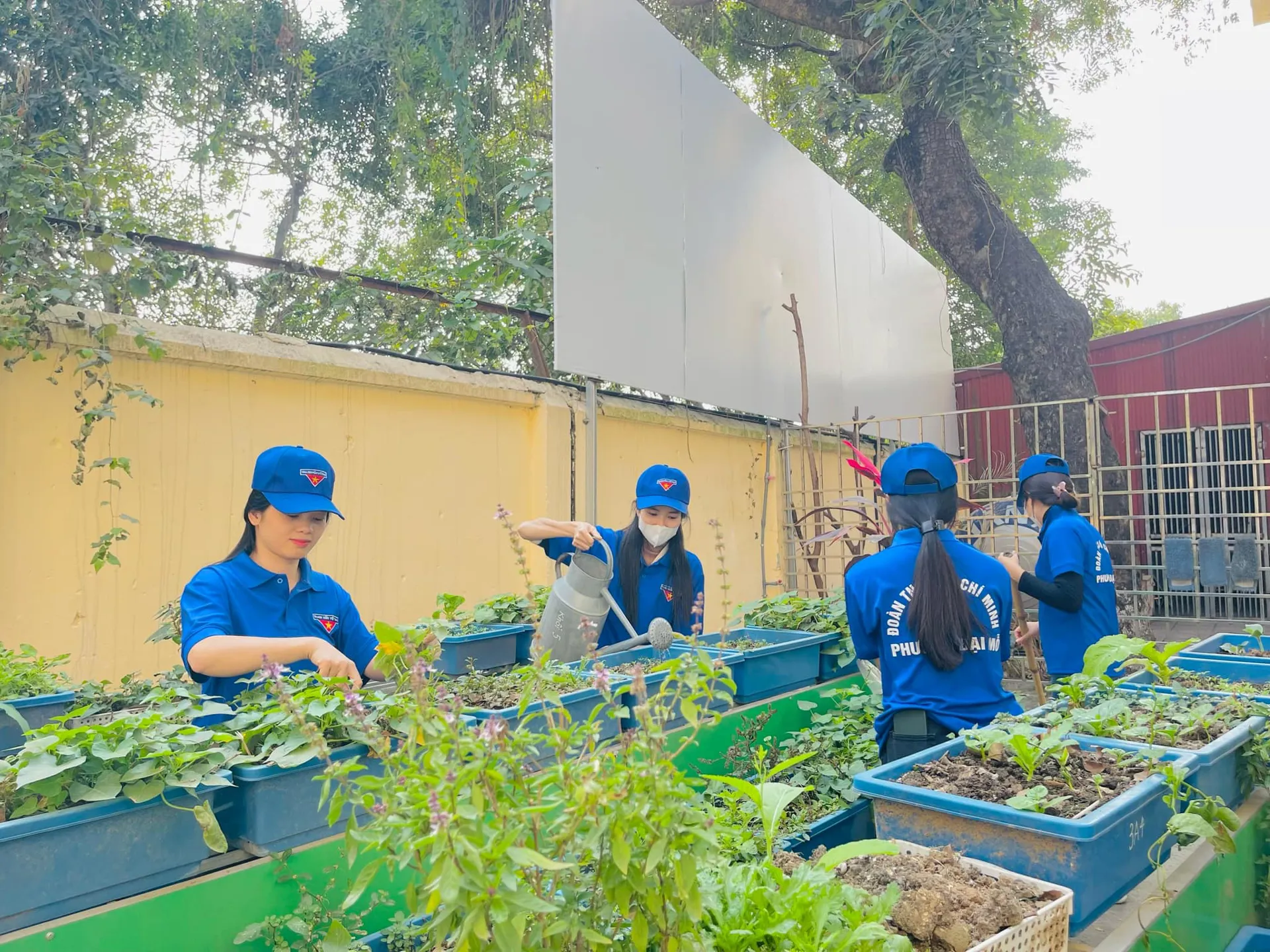 Thanh niên tích cực tham gia tình nguyện xây dựng nông thôn, đô thị văn minh