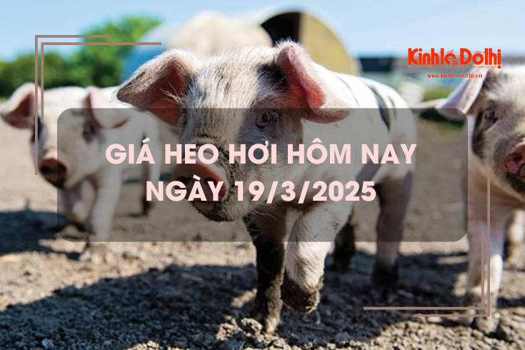 Giá heo hơi hôm nay 19/3: tiếp đà giảm trên cả nước