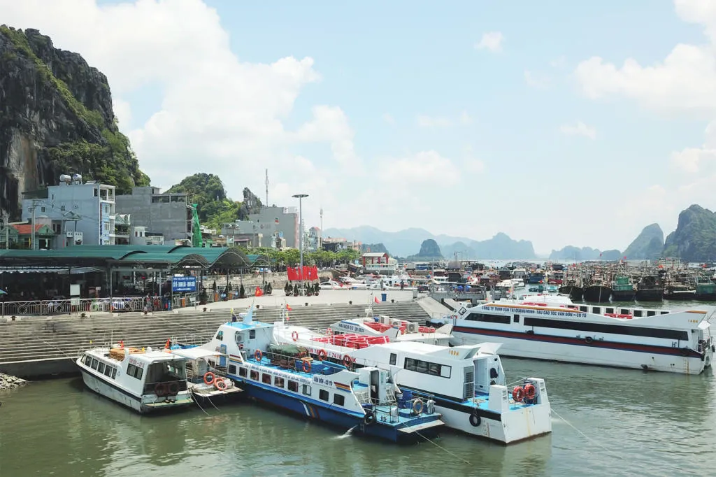 Quảng Ninh: phấn đấu gỡ thẻ vàng Ủy ban châu Âu với thủy sản Việt Nam