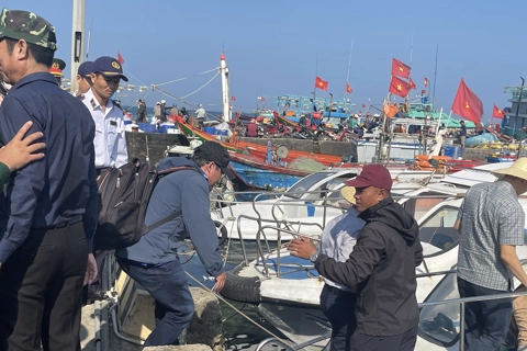 Lý Sơn cần tập trung phát triển ngành kinh tế mũi nhọn