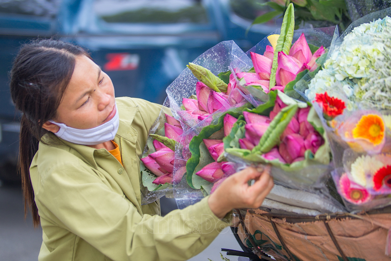 Hanoi lotus flowers in full bloom amid sweltering summer