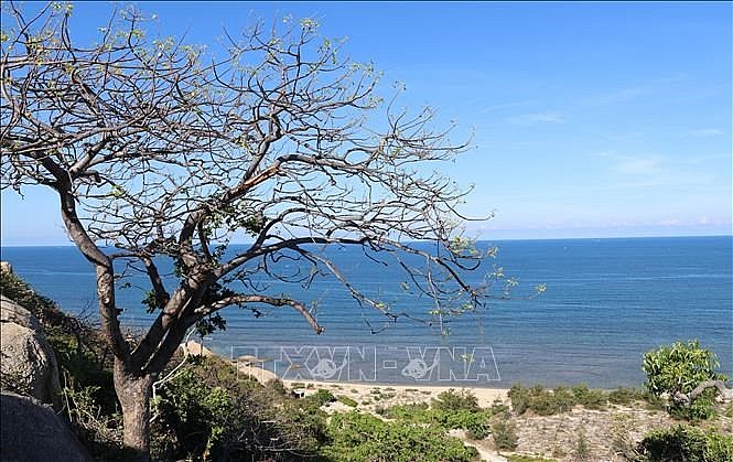 Two Vietnamese sites recognized as global biosphere reserves by UNESCO