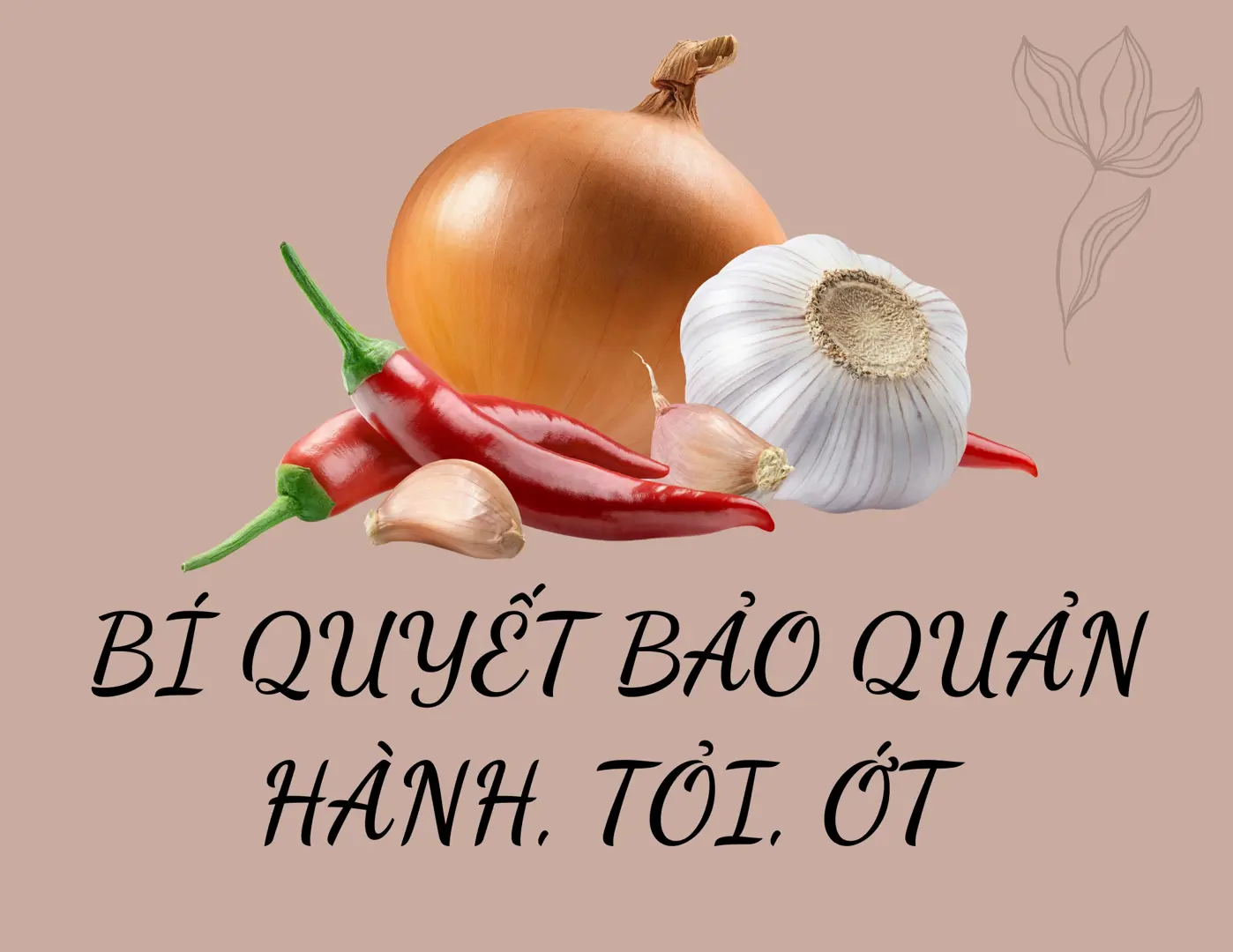 [Infographic] Bí quyết bảo quản hành, tỏi, ớt