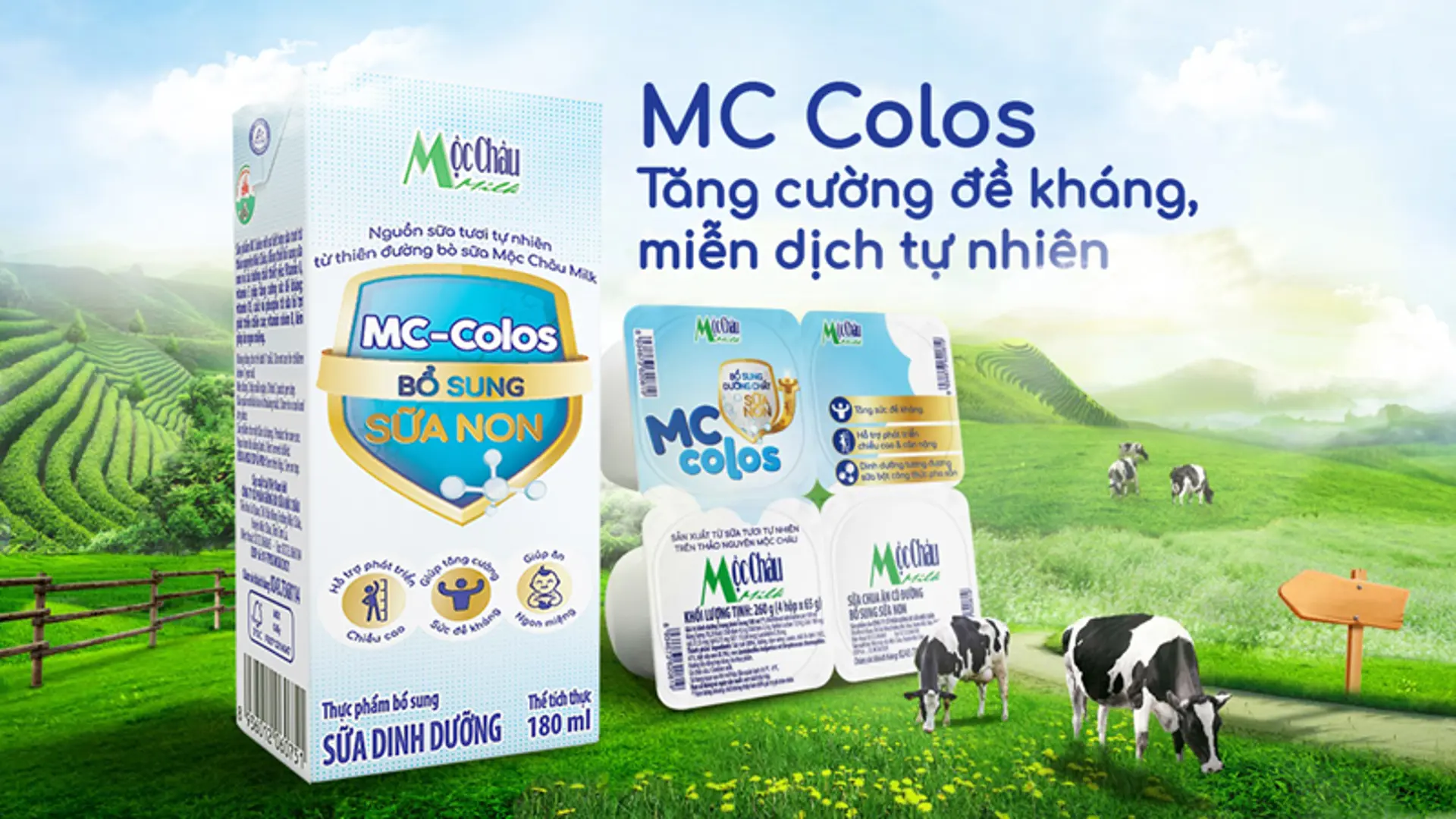 Bộ đôi sản phẩm dinh dưỡng bổ sung sữa non MC Colos: Tăng cường miễn dịch tự nhiên cho trẻ