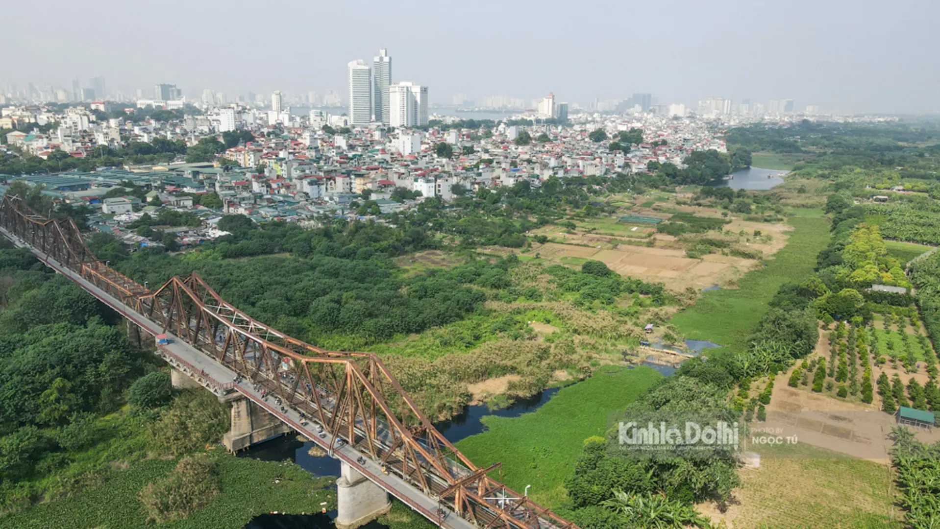 Hà Nội: Mê mẩn ngắm đồng cỏ lau ngay dưới chân cầu Long Biên lịch sử