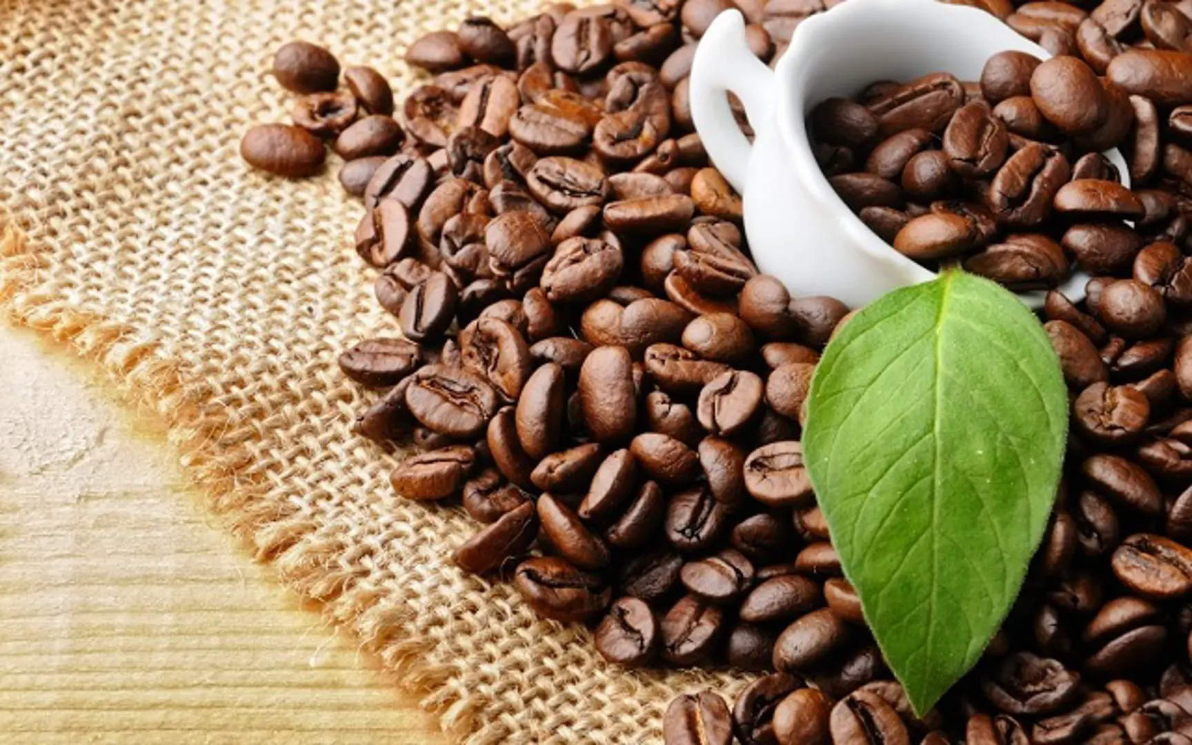 Giá cà phê hôm nay 31/10: Robusta tăng 150 USD/tấn trong tháng 10, kỳ vọng xuất khẩu bội thu trong vụ mới