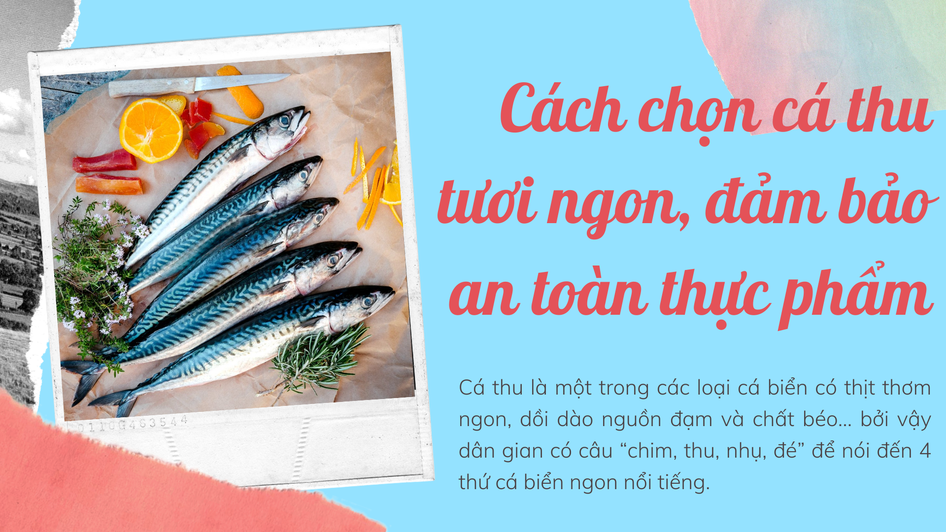 [Infographic] Cách chọn cá thu tươi ngon, đảm bảo an toàn thực phẩm