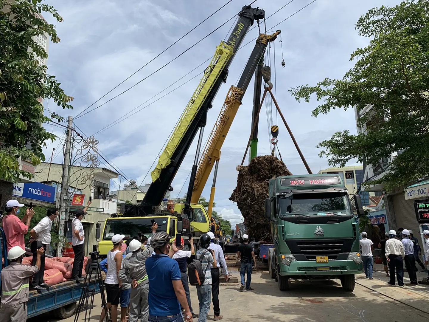 Huy động 3 xe cẩu hạng nặng, giải phóng mặt đường bị cây đa hơn 200 tuổi chắn ngang