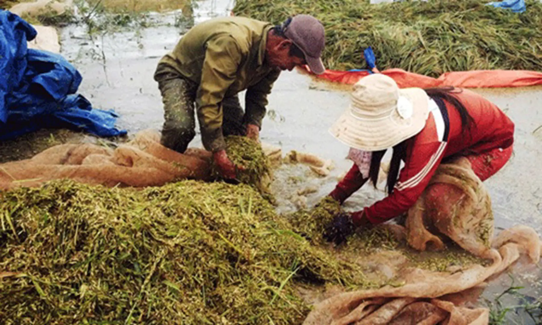 Mưa lũ gây thiệt hại 80 tỷ đồng tại Đắk Lắk, Ninh Thuận