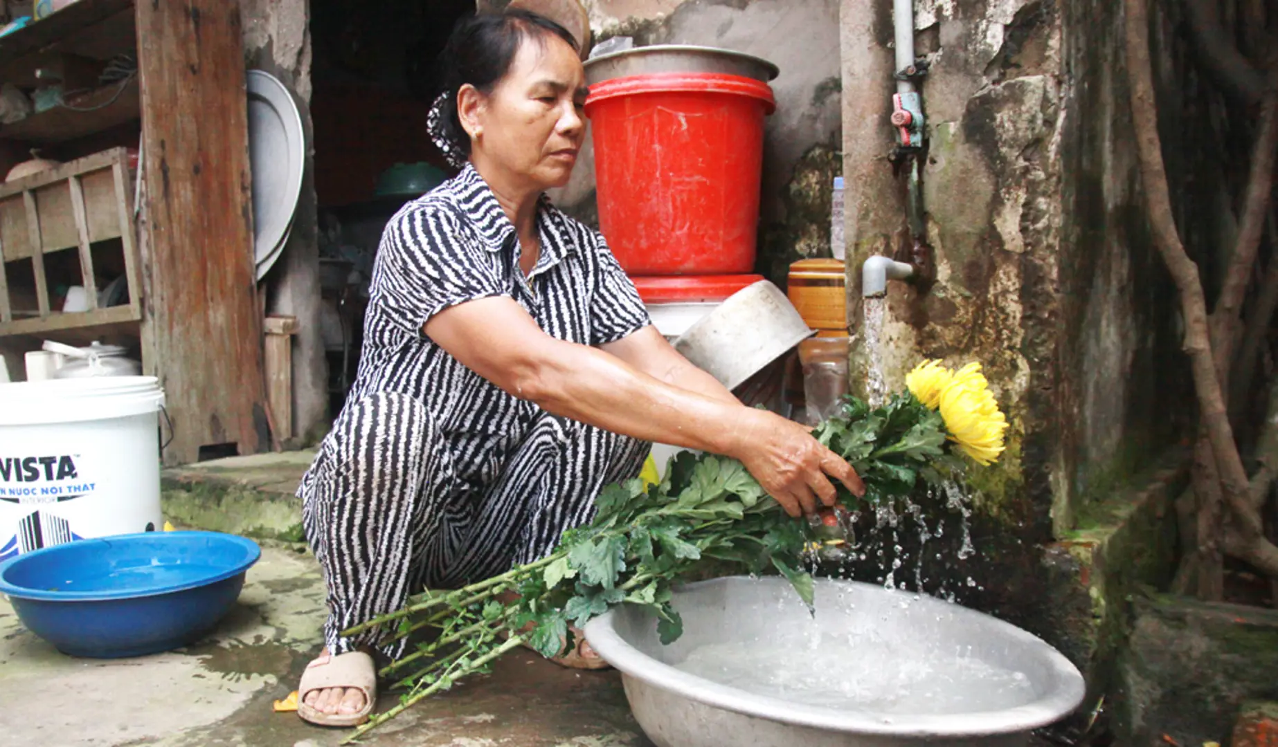 Kim Sơn ngóng nước sạch