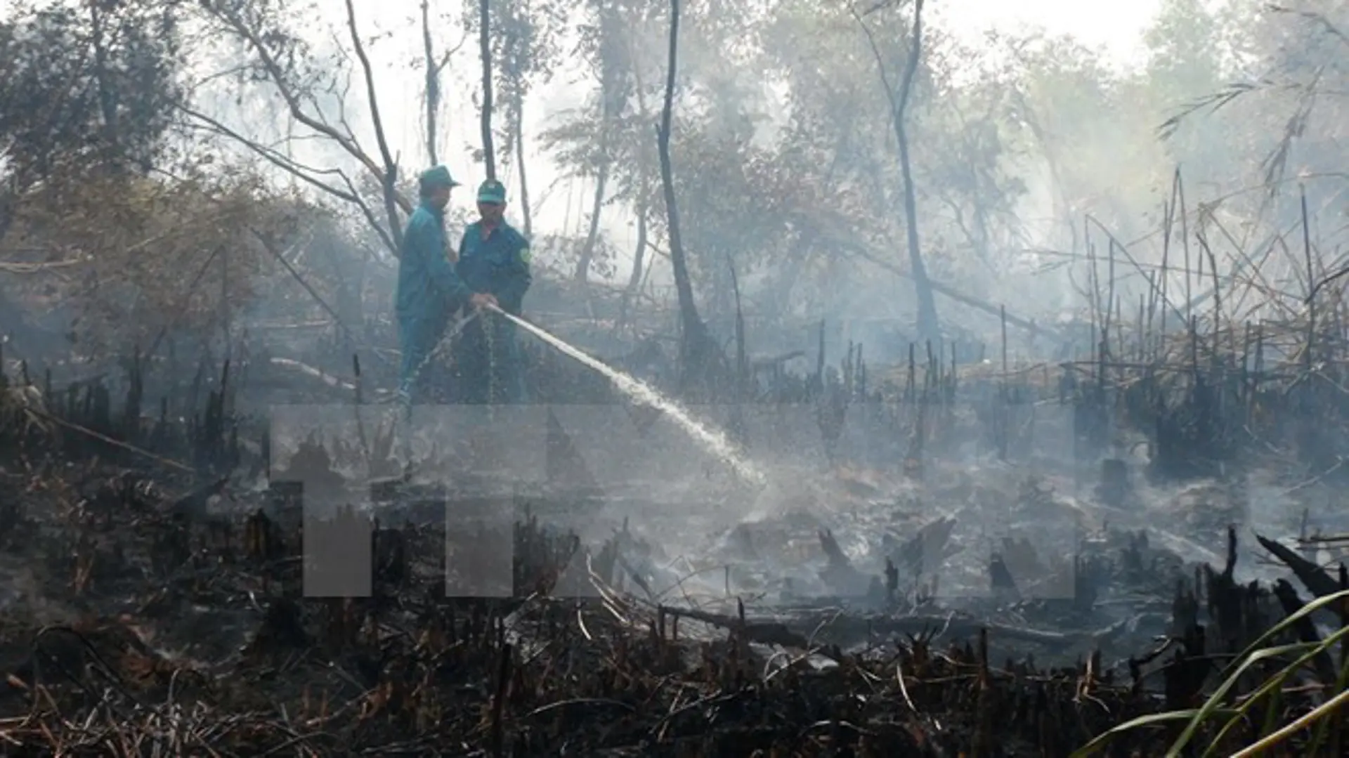 Thái Nguyên: Khoảng 13ha rừng thuộc Vườn Quốc gia Tam Đảo bị cháy