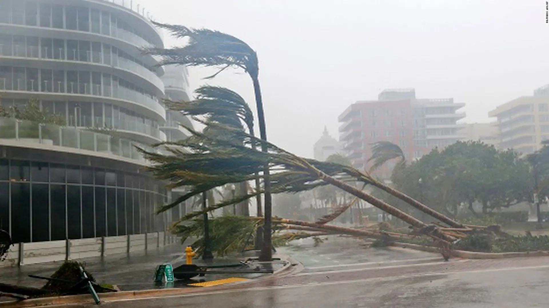 Siêu bão Irma tàn phá Florida