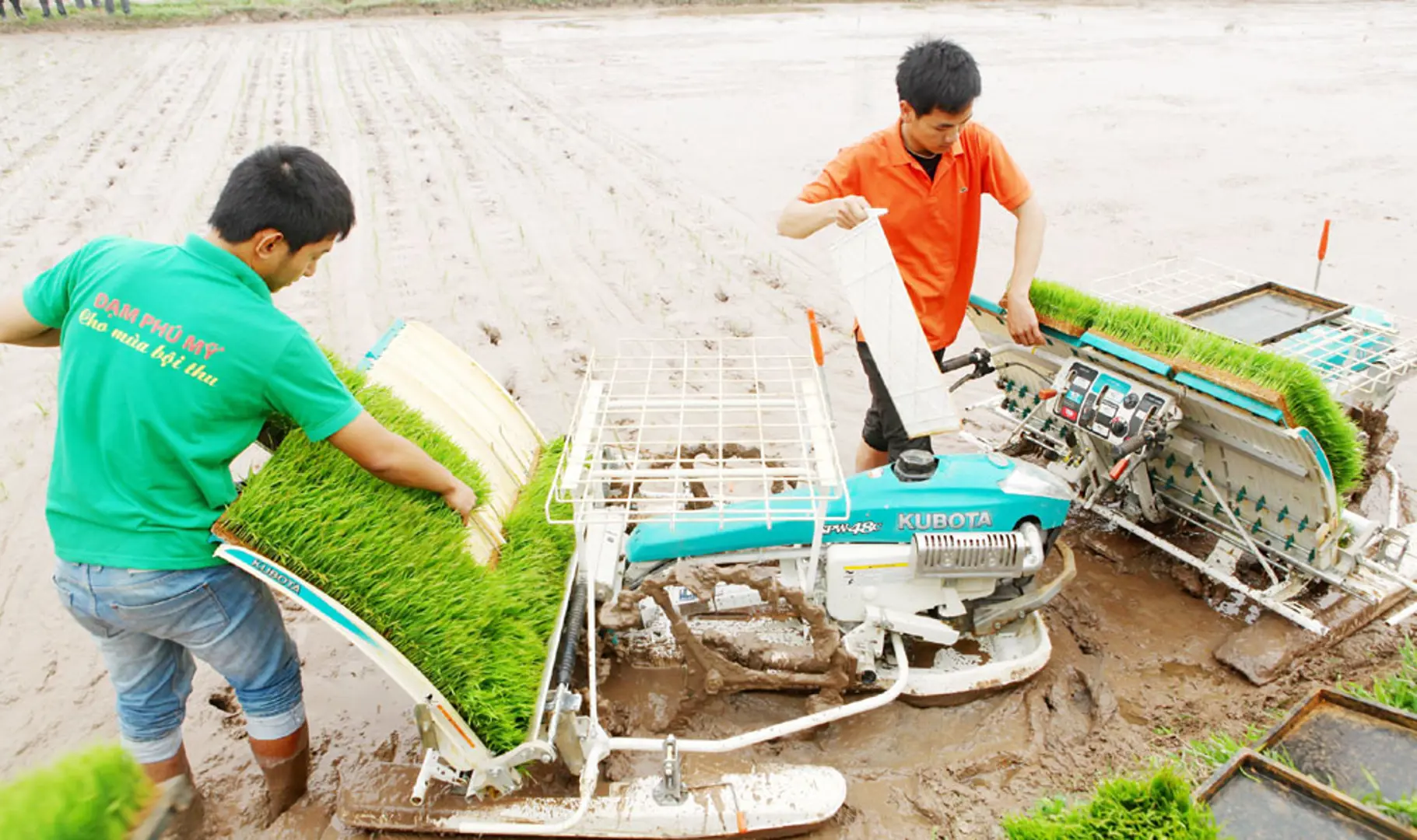 Nhà nông vào vụ