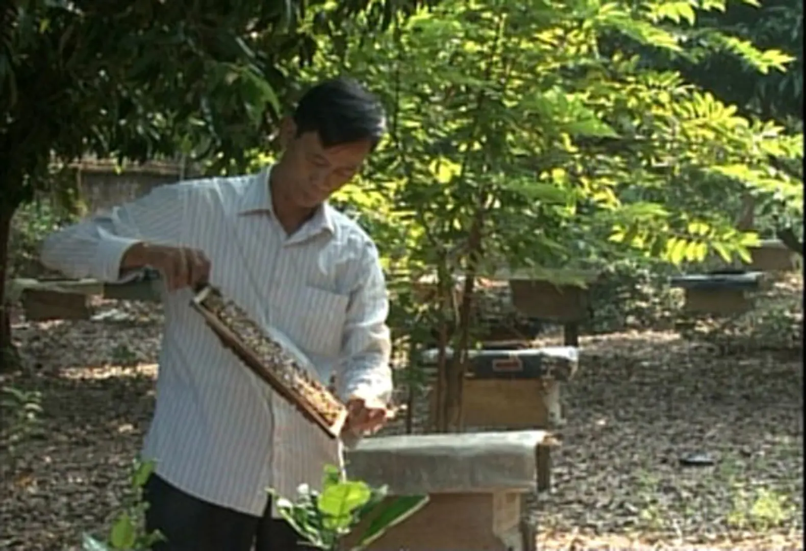 Mở hướng làm giàu