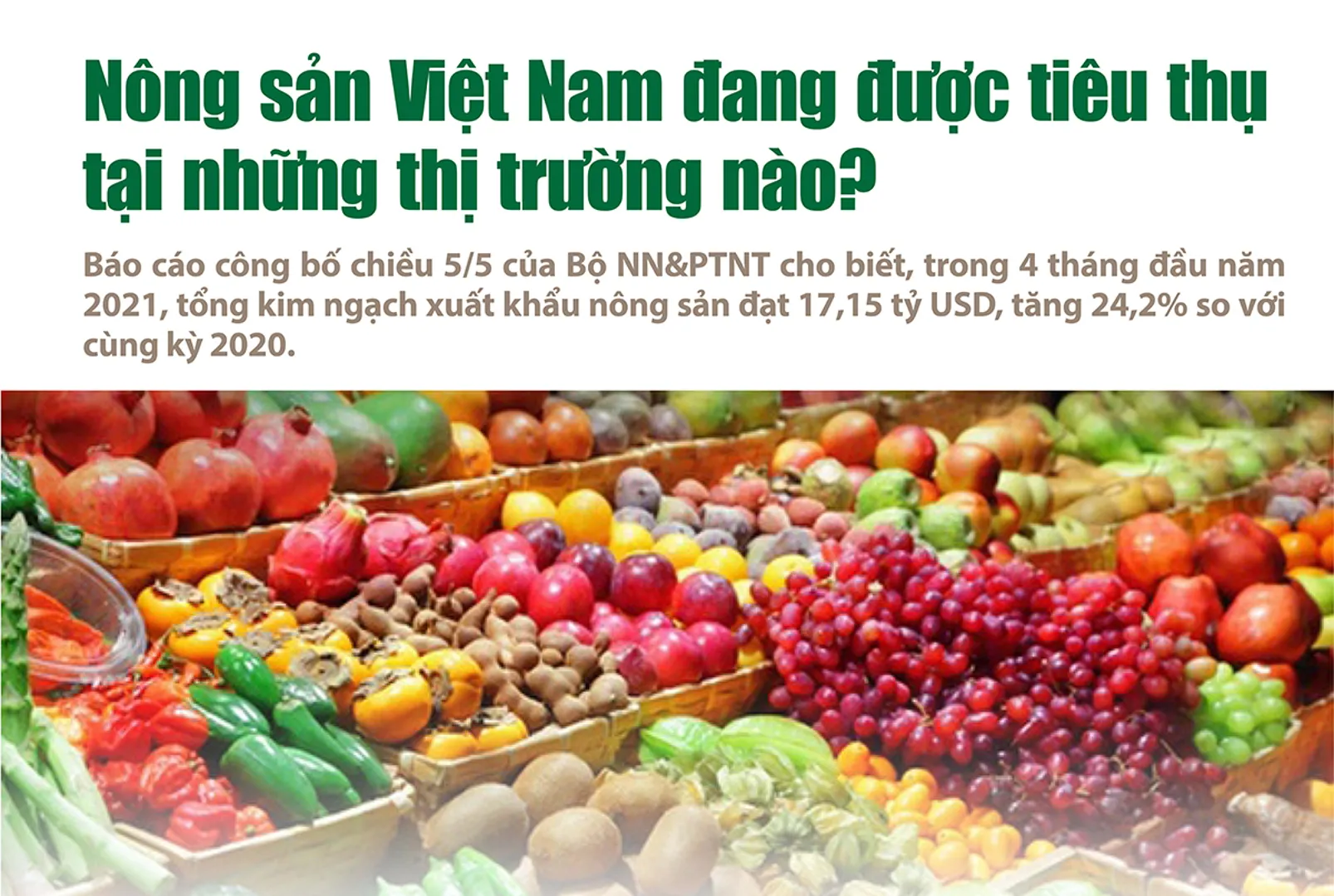 [Infographic] Nông sản Việt Nam đang được tiêu thụ  tại những thị trường nào?