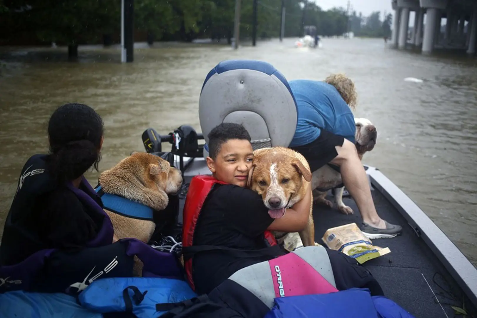 Những khoảnh khắc lay động lòng người trong siêu bão Harvey