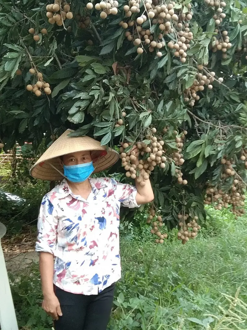 Người làm giàu cho đất