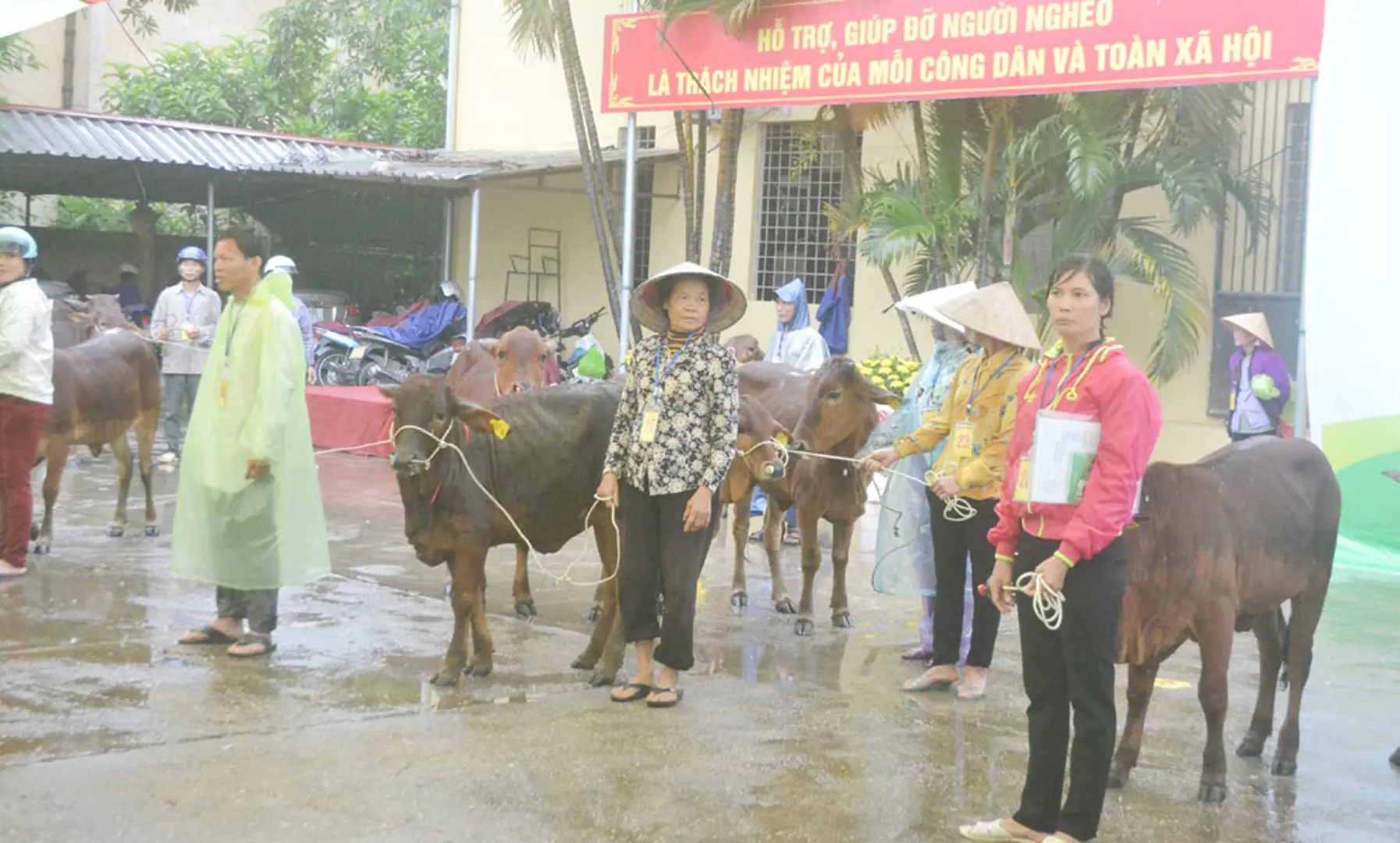 Đa dạng các giải pháp giảm nghèo