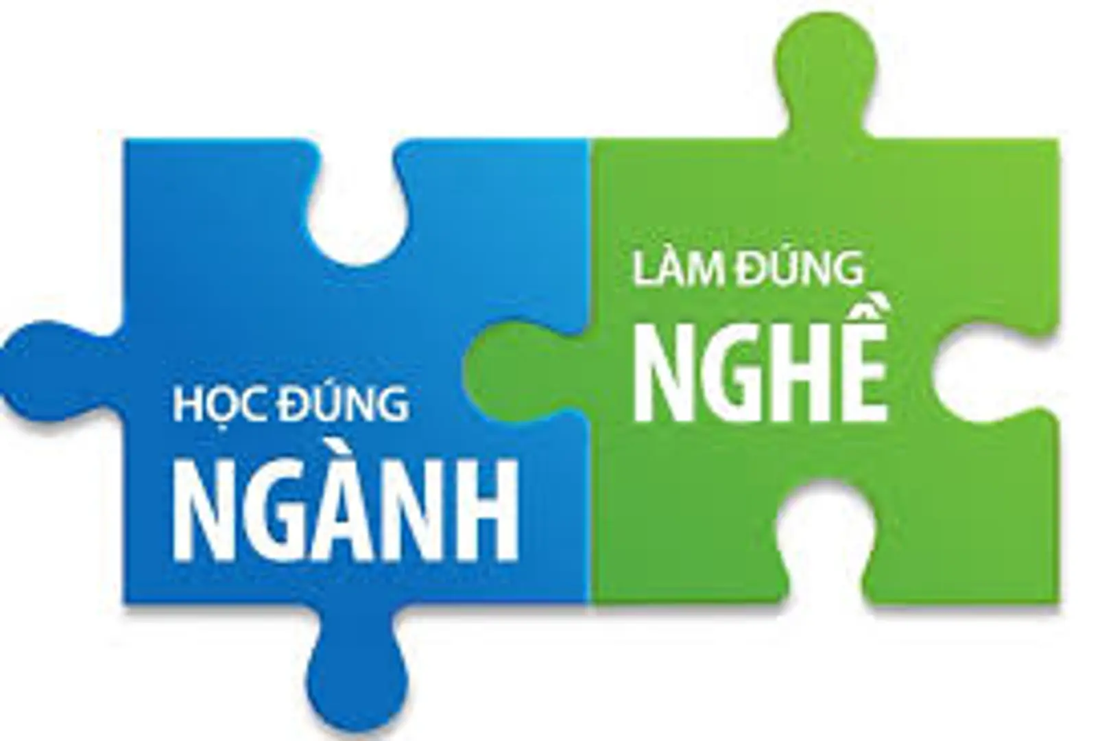 Phân luồng giáo dục, đẩy mạnh định hướng nghề nghiệp