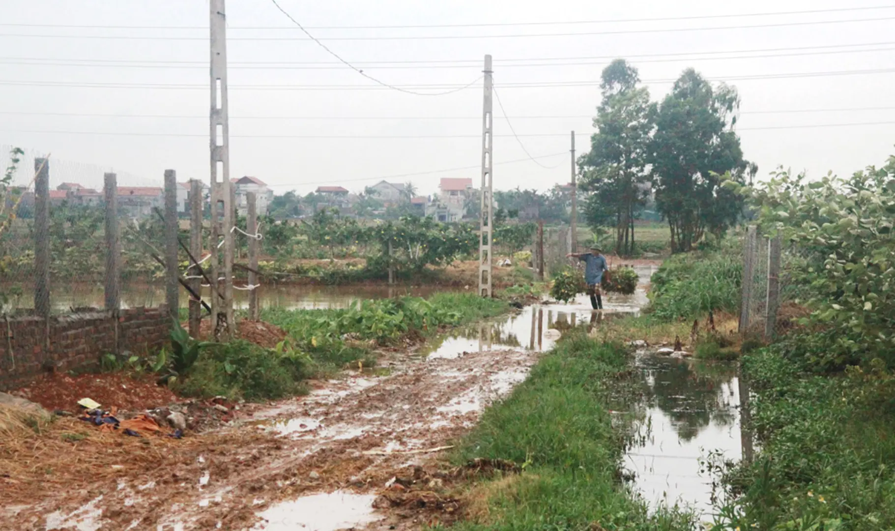 Xây dựng nông thôn mới xã Thanh Lâm, huyện Mê Linh: Thực tế khác xa báo cáo