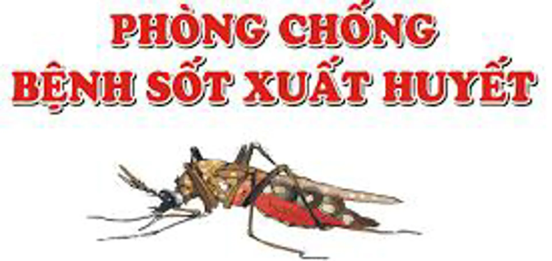 Hà Nội kiên quyết không để dịch sốt xuất huyết kéo dài, lan rộng