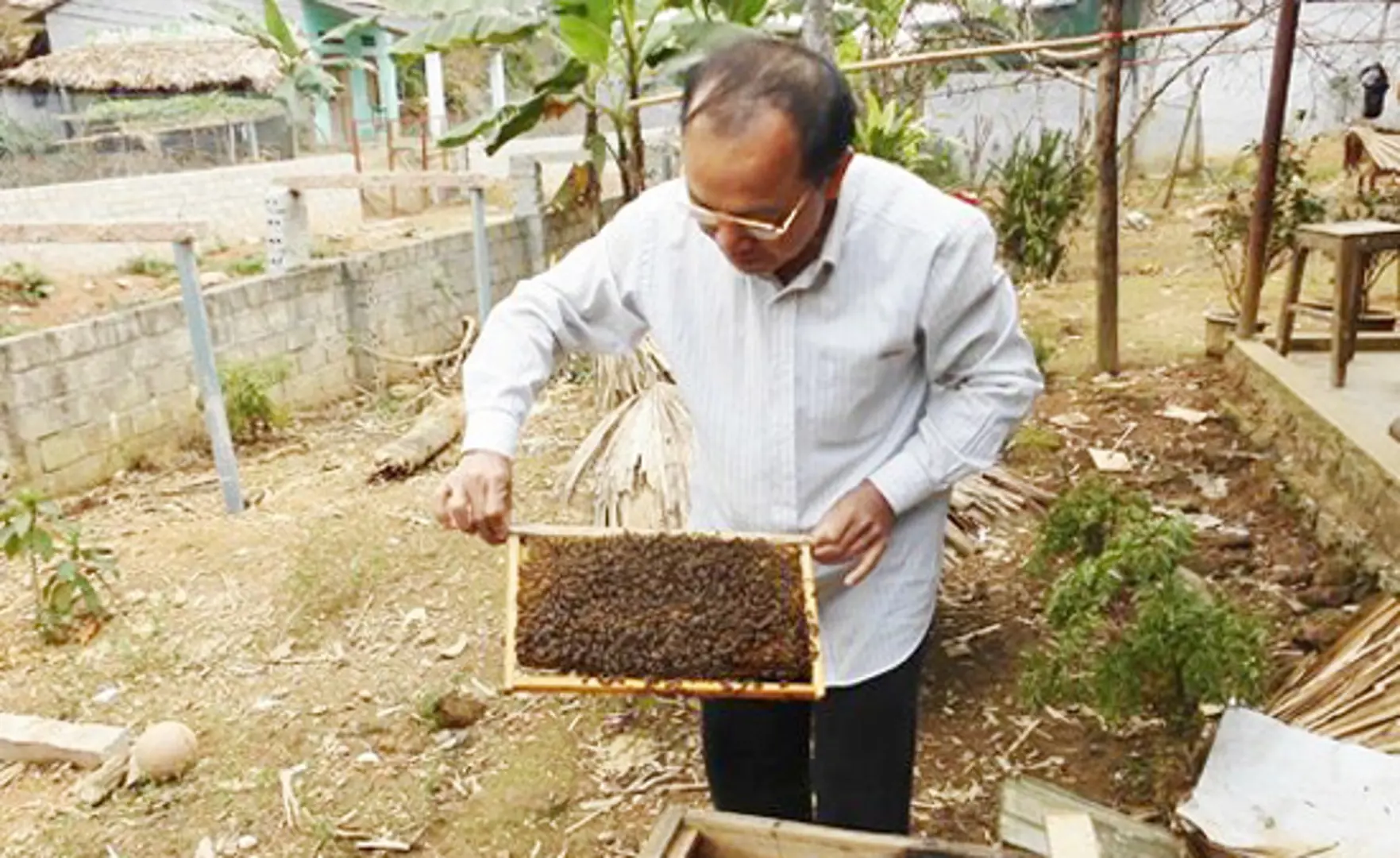 Thành phố Yên Bái: Áp dụng khoa học kỹ thuật vào giảm nghèo bền vững