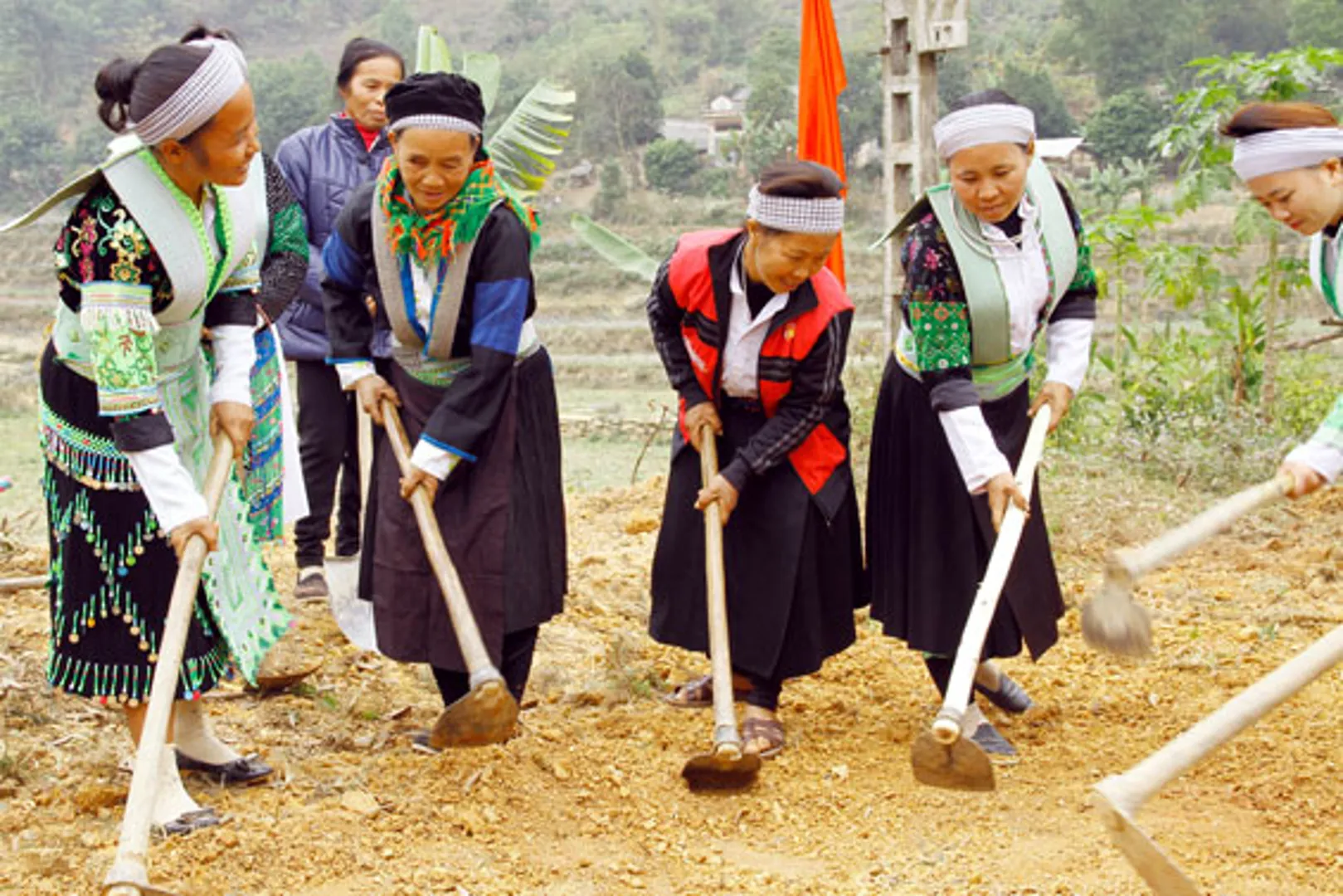 Ưu tiên nguồn lực hỗ trợ tạo sinh kế cho vùng đồng bào dân tộc thiểu số