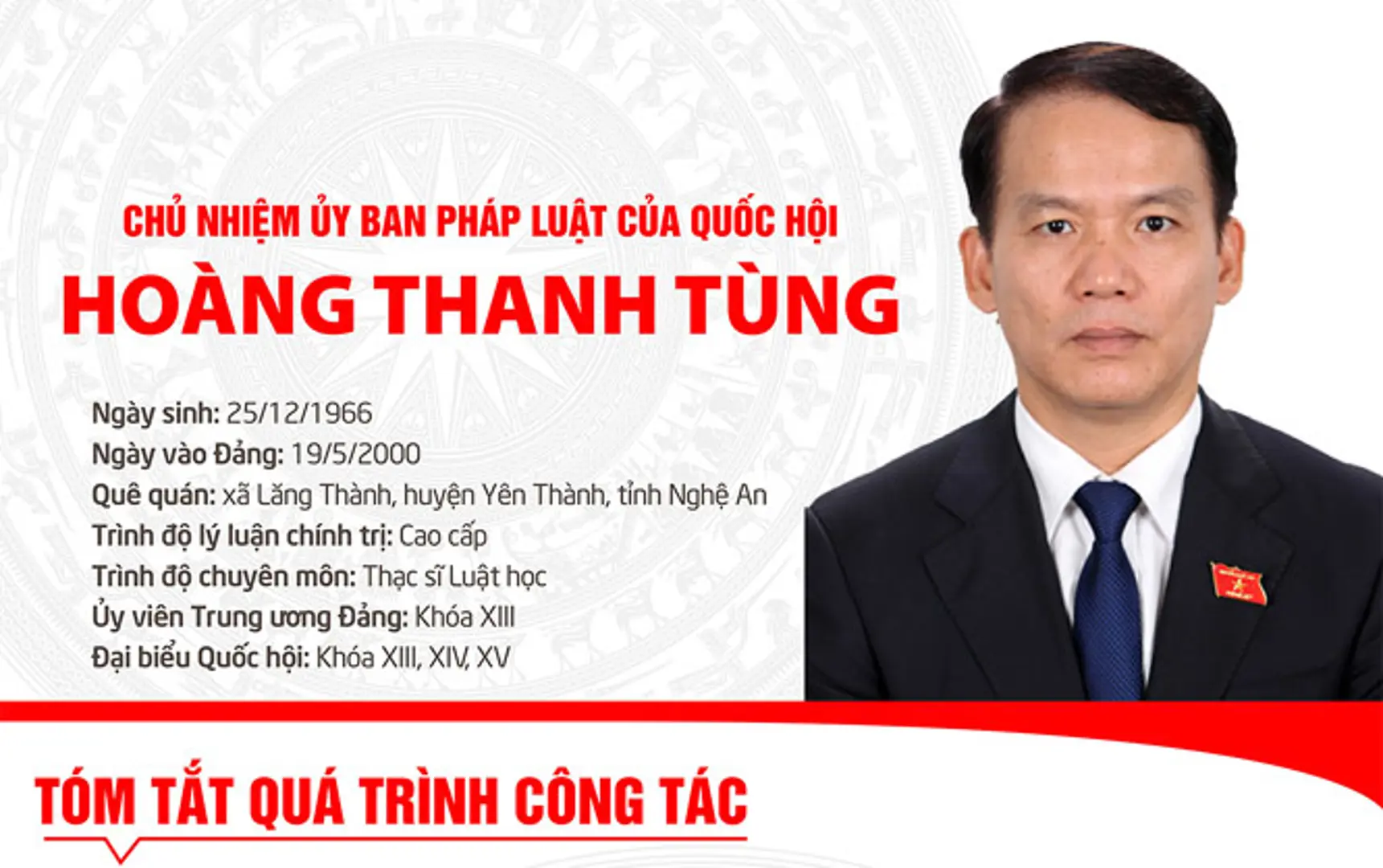 [Infographic] Chân dung Chủ nhiệm Ủy ban Pháp luật của Quốc hội khóa XV Hoàng Thanh Tùng