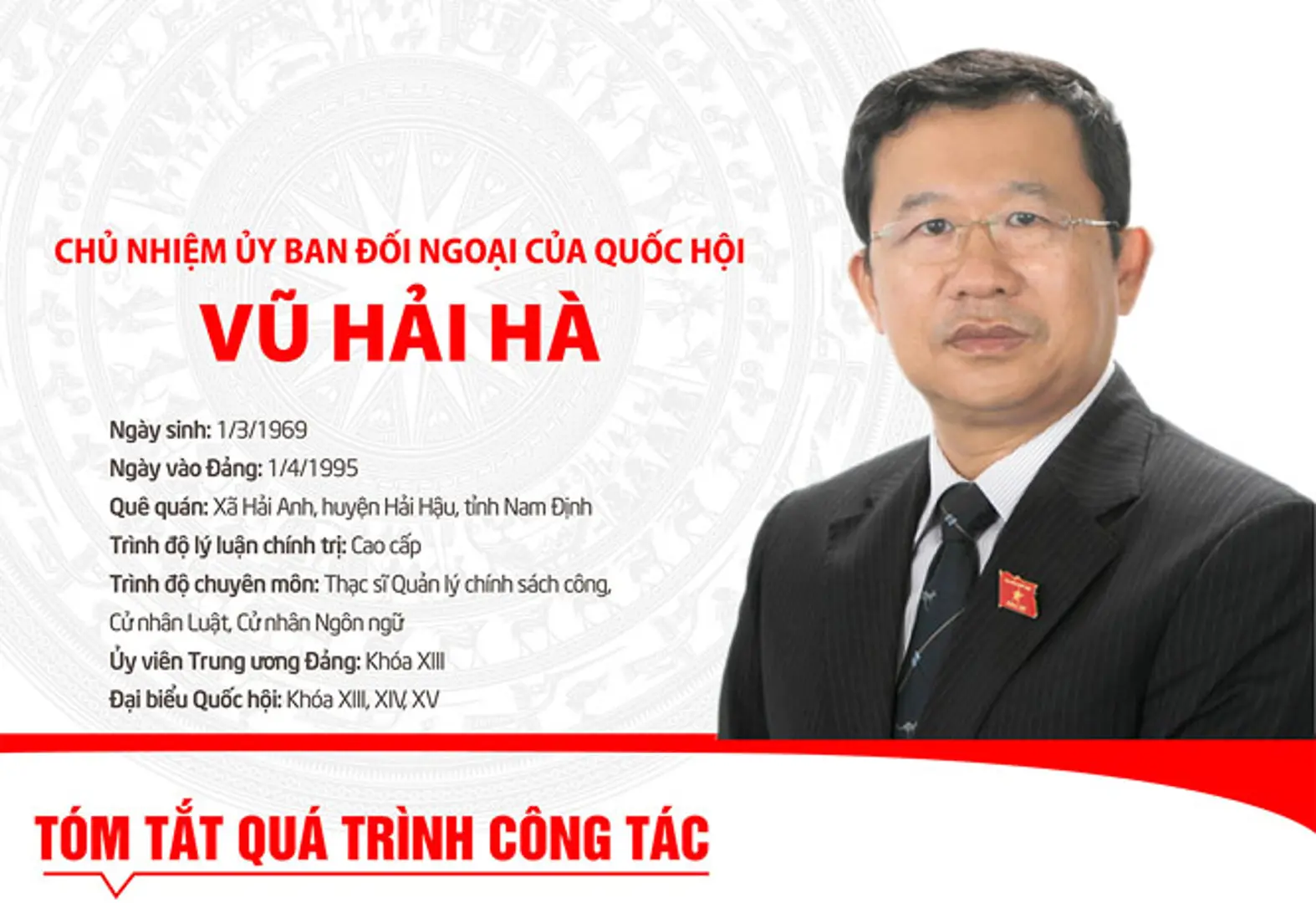 [Infographic] Chân dung Chủ nhiệm Ủy ban Đối ngoại của Quốc hội khóa XV Vũ Hải Hà