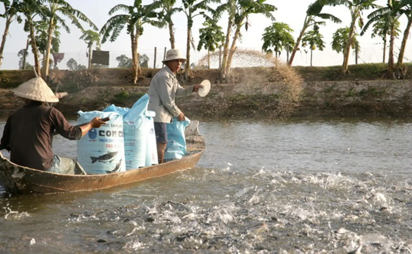 Thủy sản đang được mùa