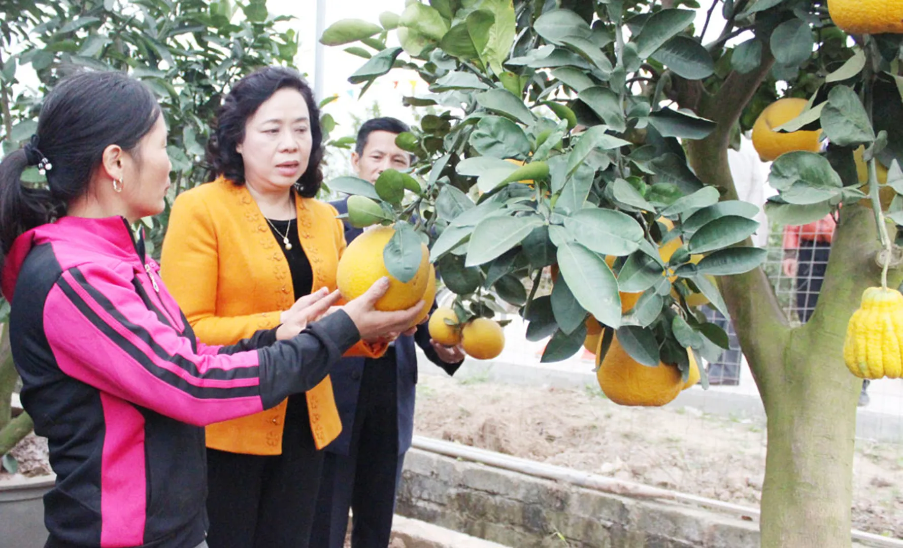 Đưa “Đời sống mới” vào thực tiễn cuộc sống