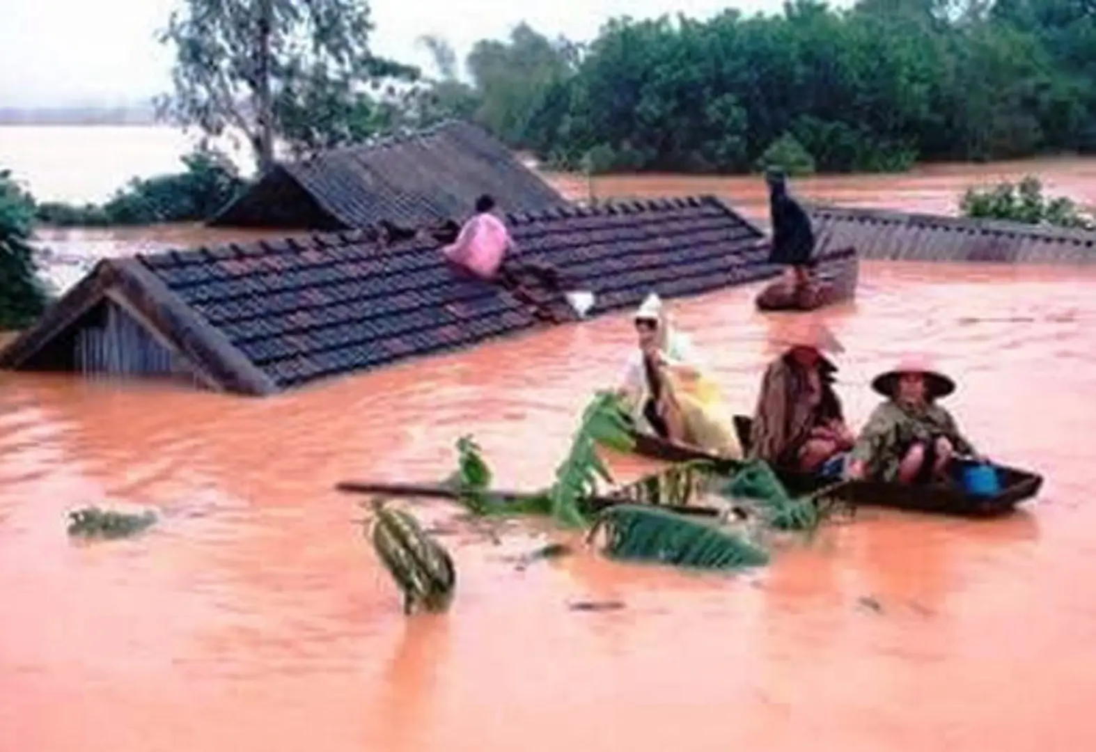 Chủ động ứng phó mưa lũ, sạt lở đất