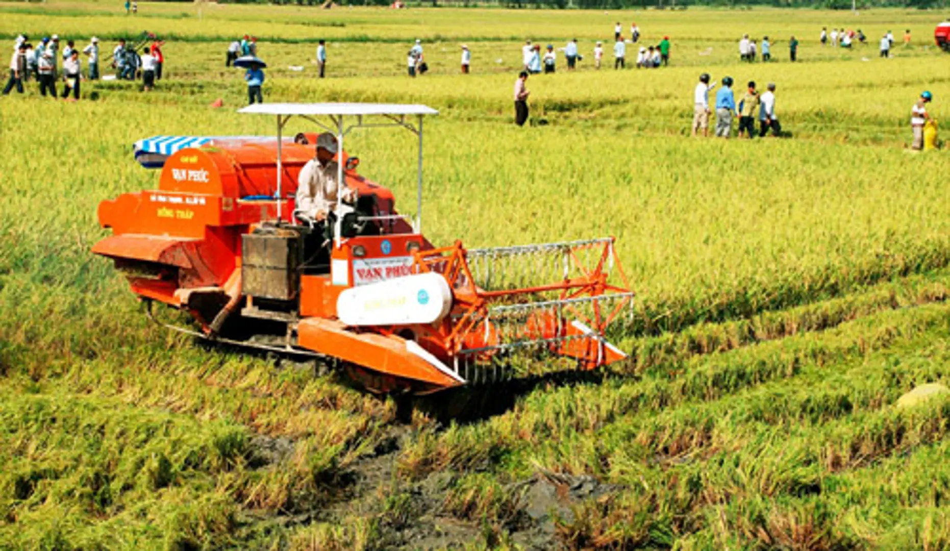 15 tiêu chí giám sát, đánh giá về cơ cấu lại ngành nông nghiệp