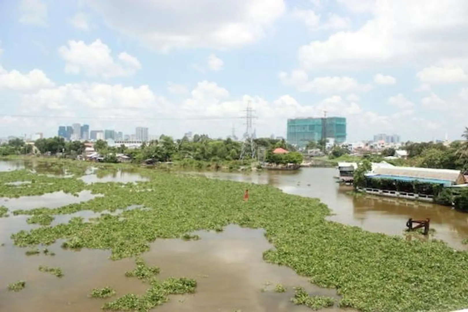 Đề xuất chặn lục bình đổ ra sông Sài Gòn