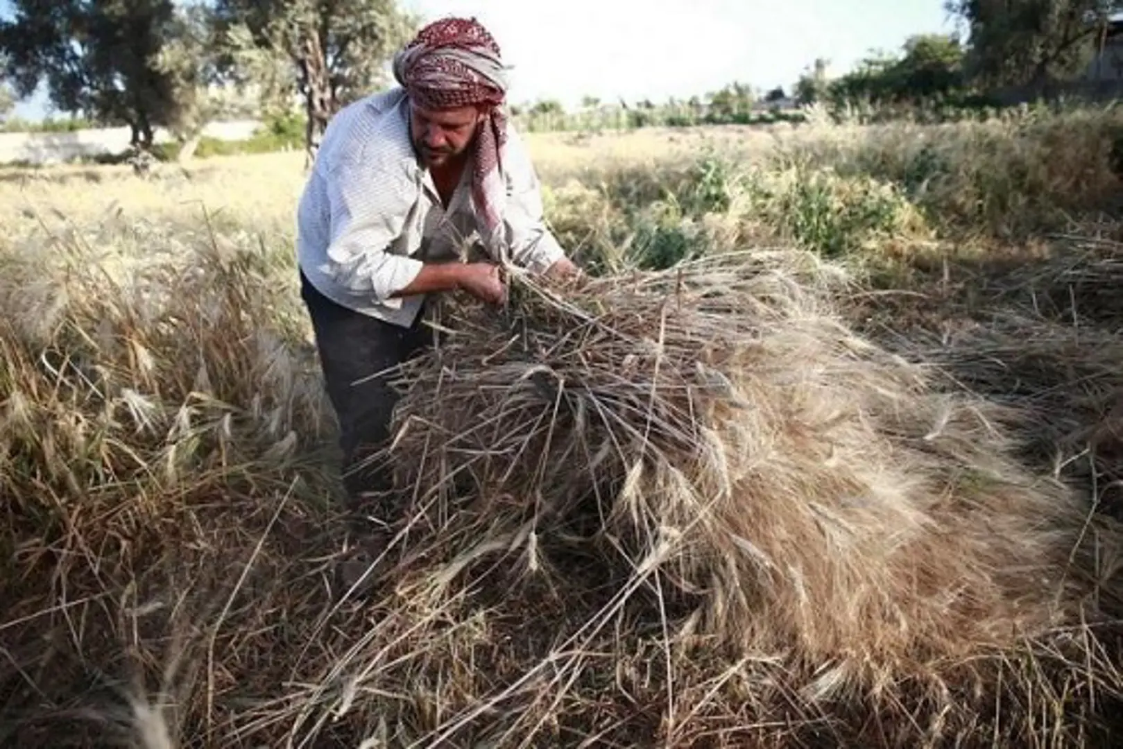 Syria khan hiếm thực phẩm kỷ lục khi mùa đông tới gần