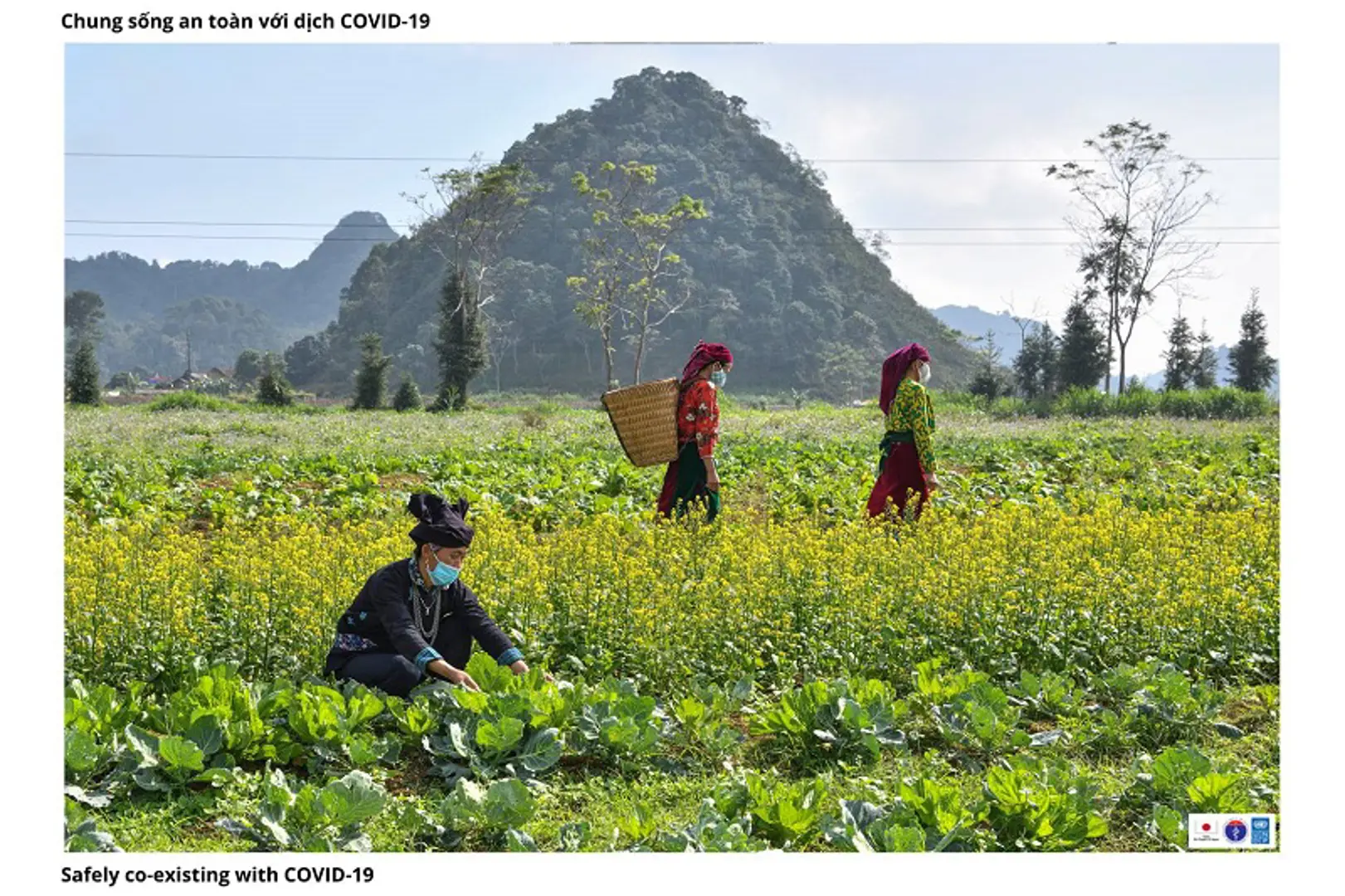 Yên Minh, Hà Giang: Nét đẹp trong lao động sản xuất kết hợp với các biện pháp phòng, chống dịch bệnh Covid-19 hiệu quả